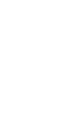 Kôň 13